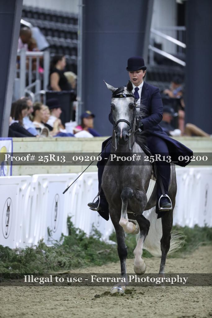 Proof 25R13_09200