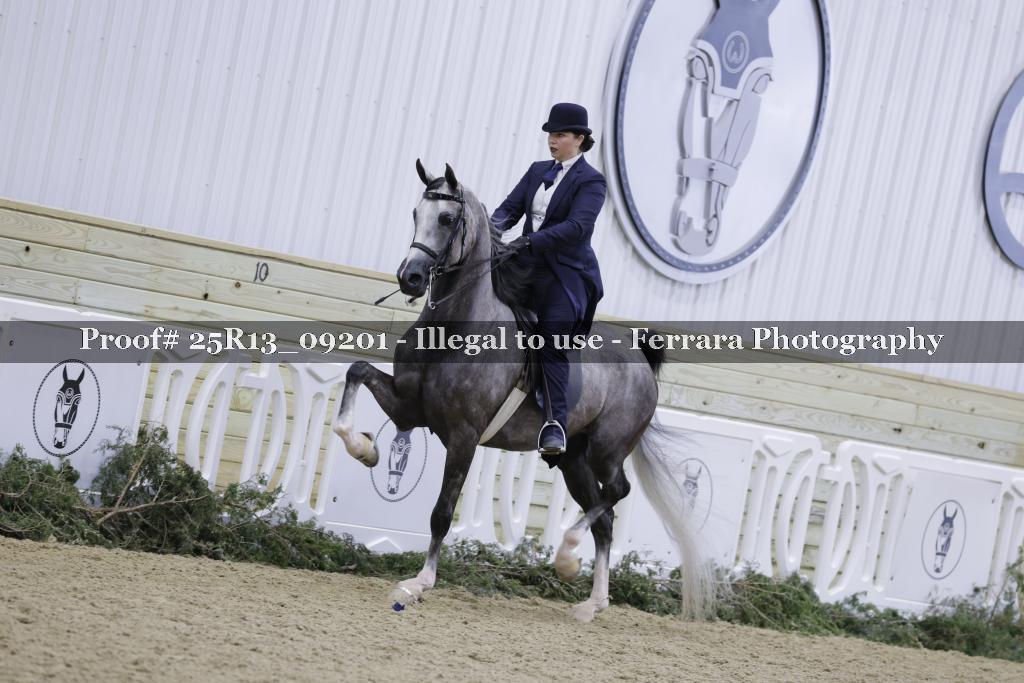Proof 25R13_09201