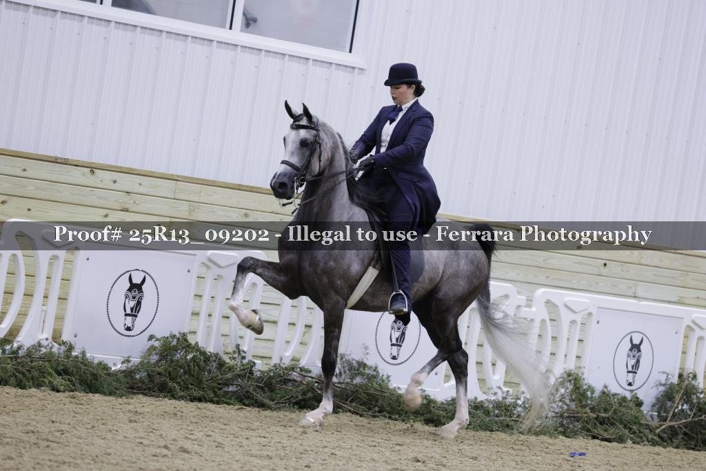 Proof 25R13_09202