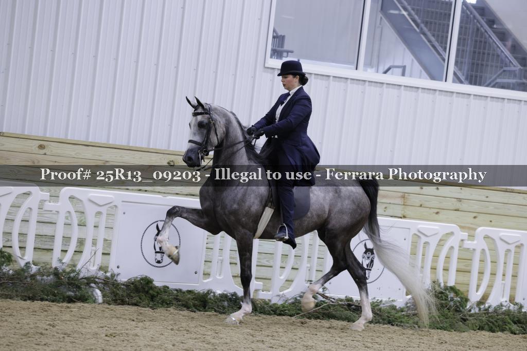 Proof 25R13_09203