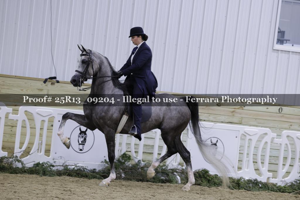 Proof 25R13_09204