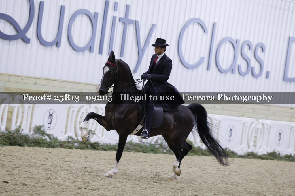 Proof 25R13_09205