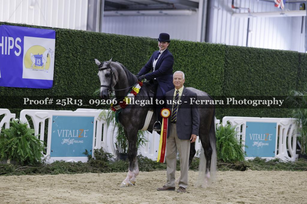 Proof 25R13_09206