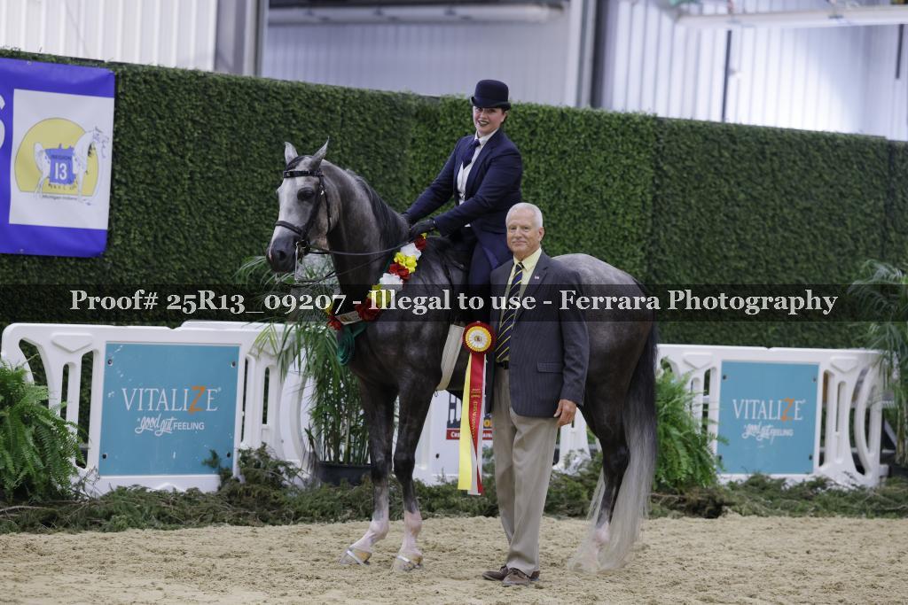Proof 25R13_09207