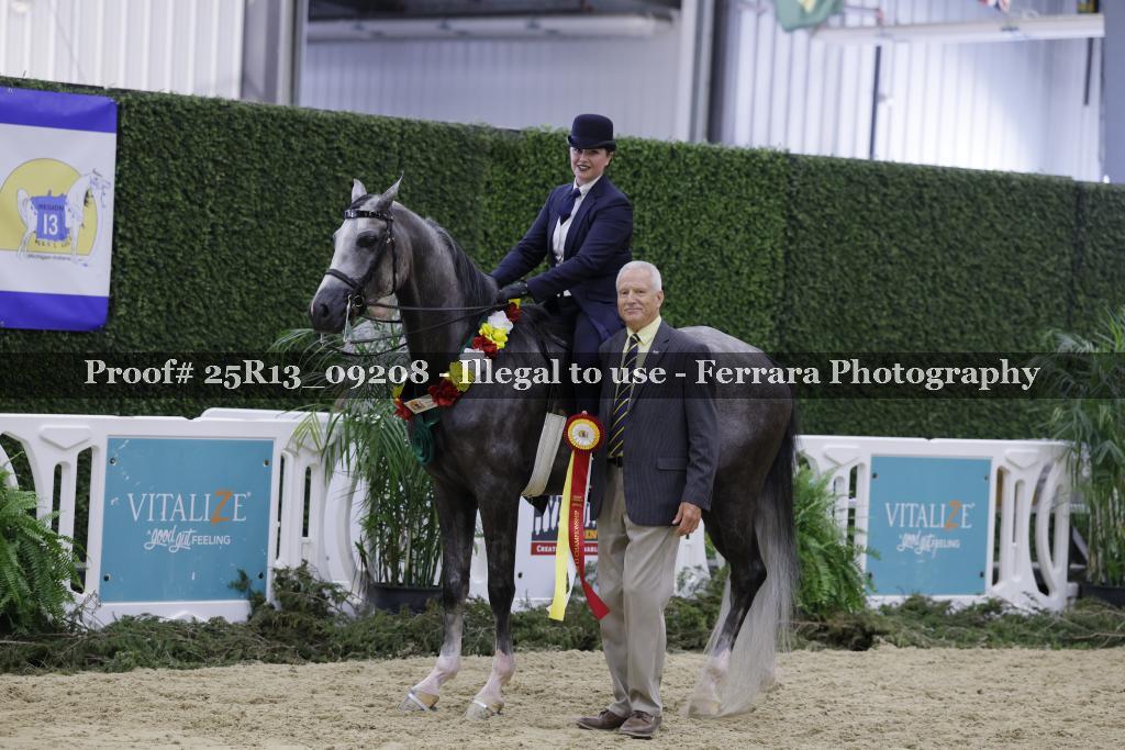 Proof 25R13_09208