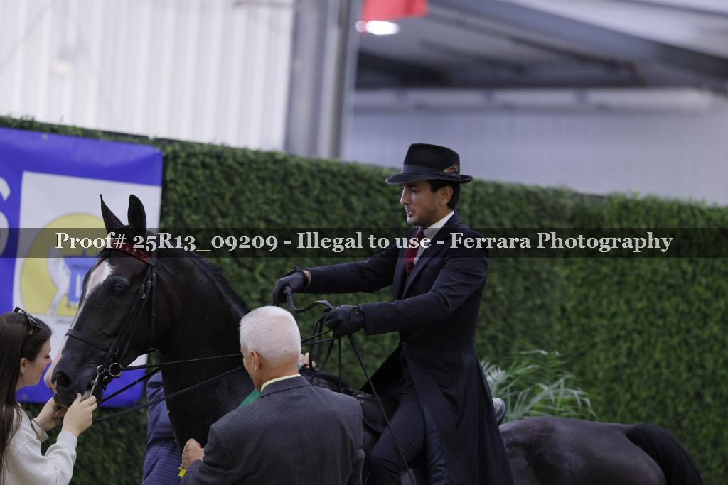 Proof 25R13_09209