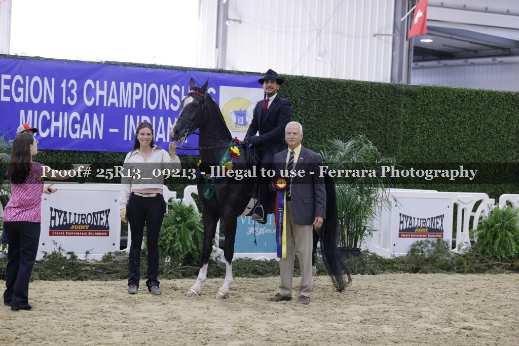 Proof 25R13_09213