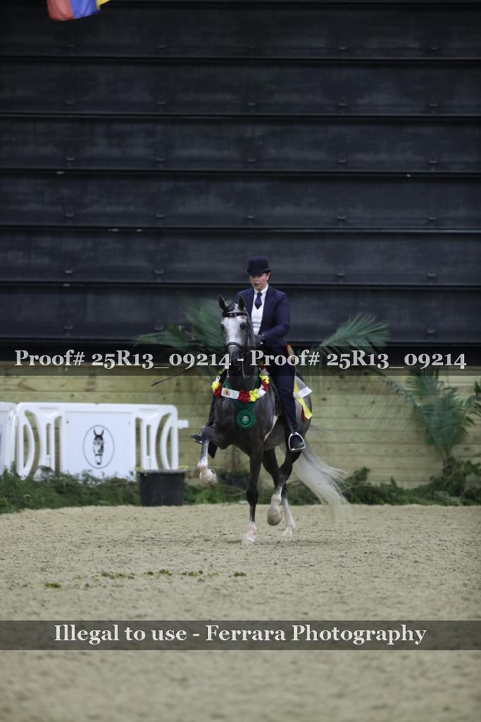 Proof 25R13_09214