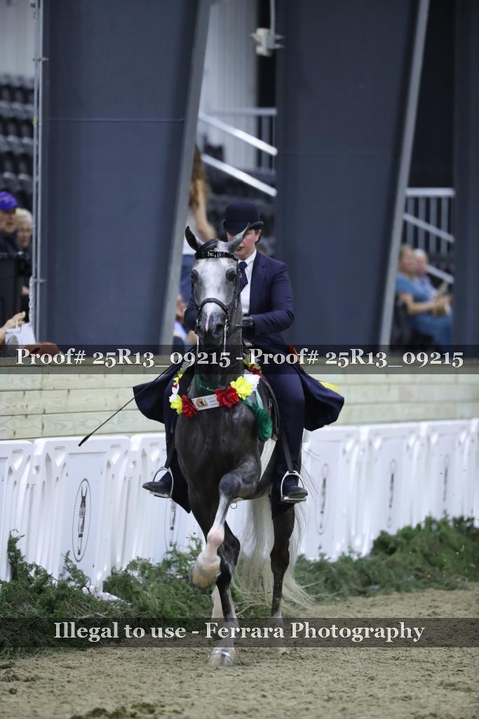 Proof 25R13_09215
