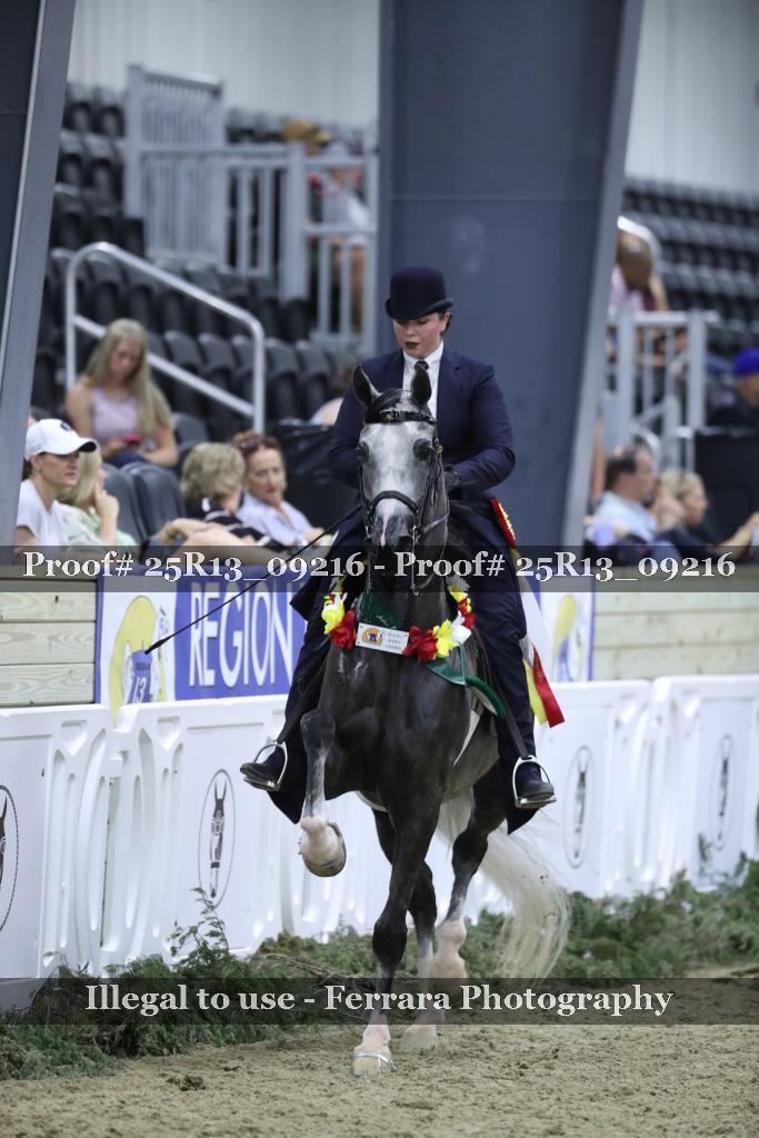 Proof 25R13_09216