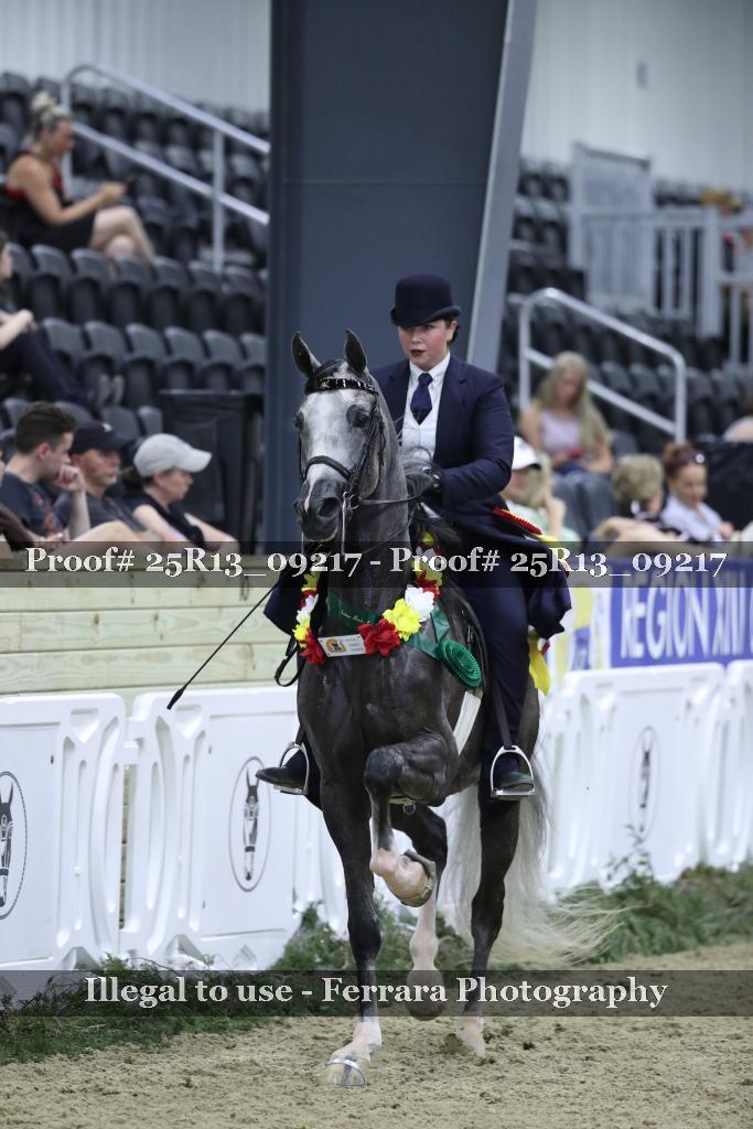 Proof 25R13_09217