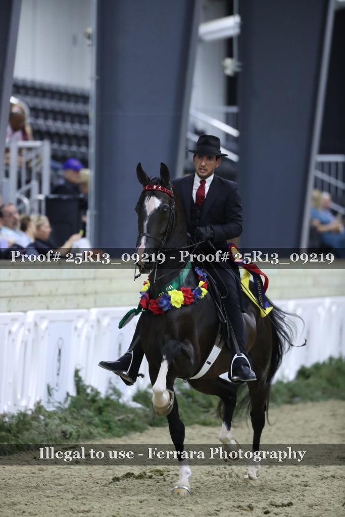 Proof 25R13_09219