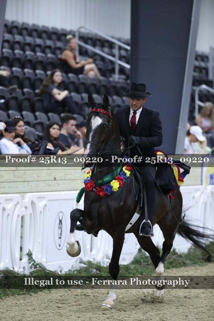 Proof 25R13_09220