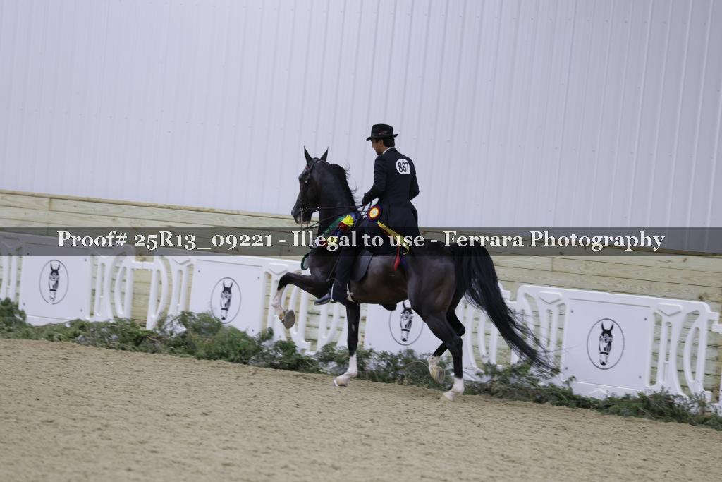 Proof 25R13_09221