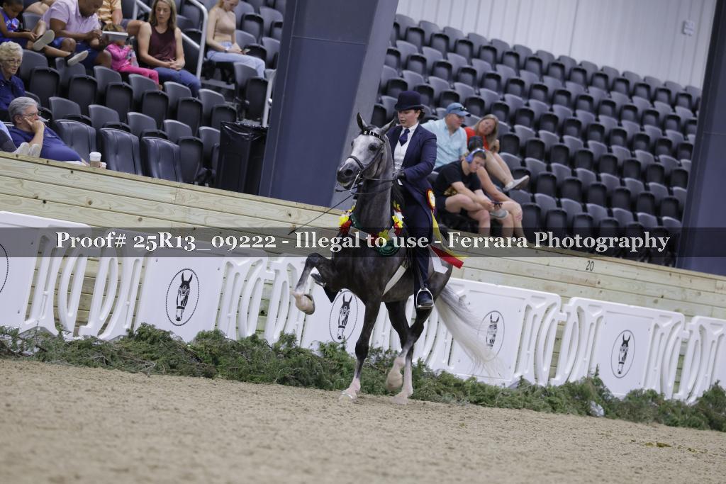 Proof 25R13_09222