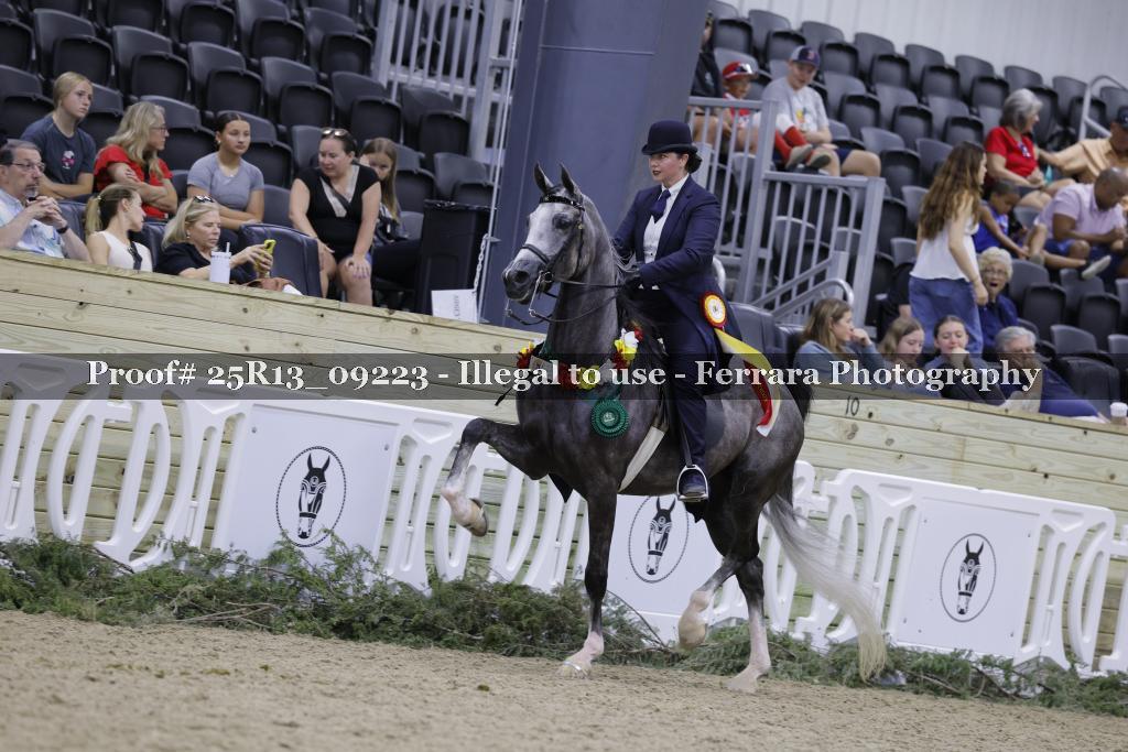 Proof 25R13_09223