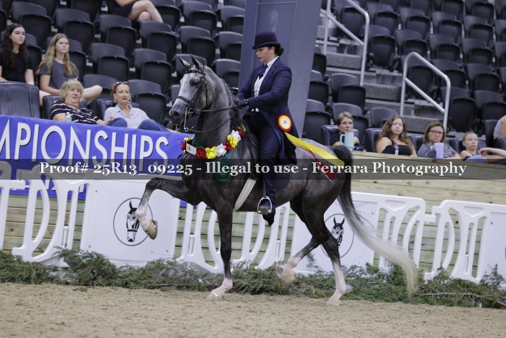 Proof 25R13_09225