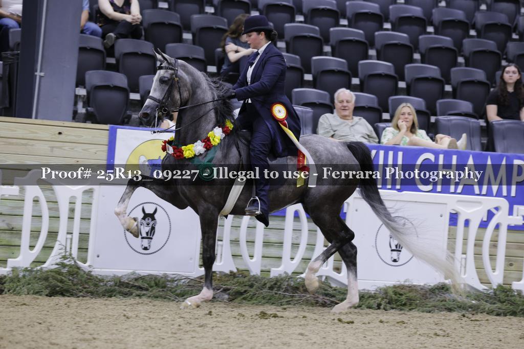 Proof 25R13_09227