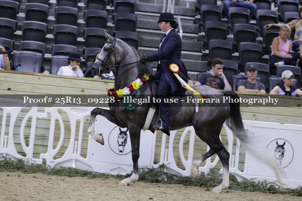 Proof 25R13_09228