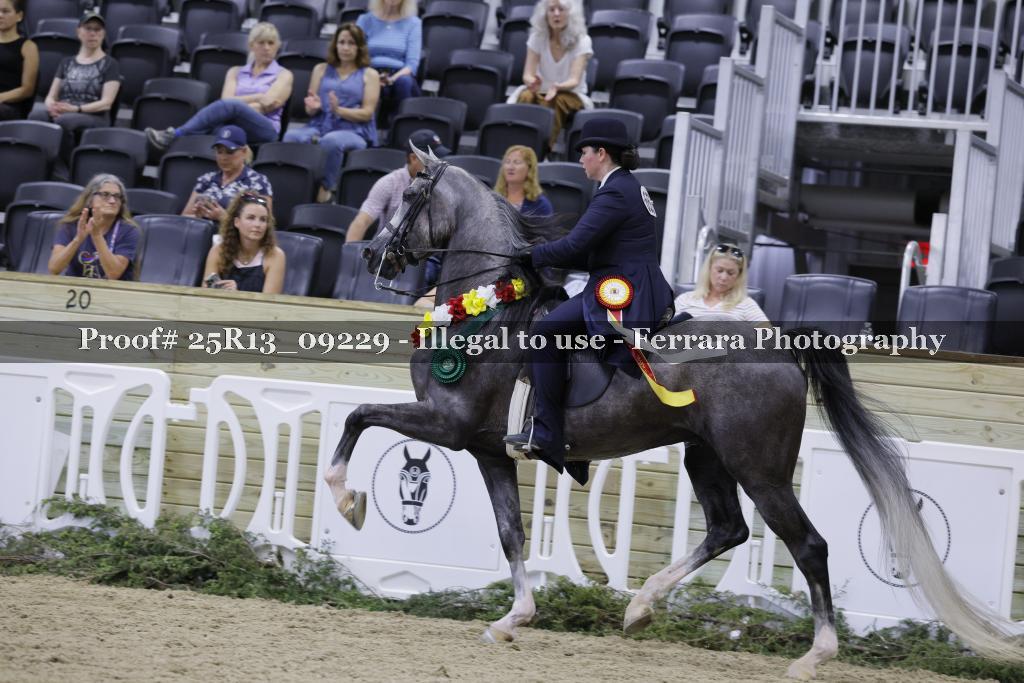 Proof 25R13_09229