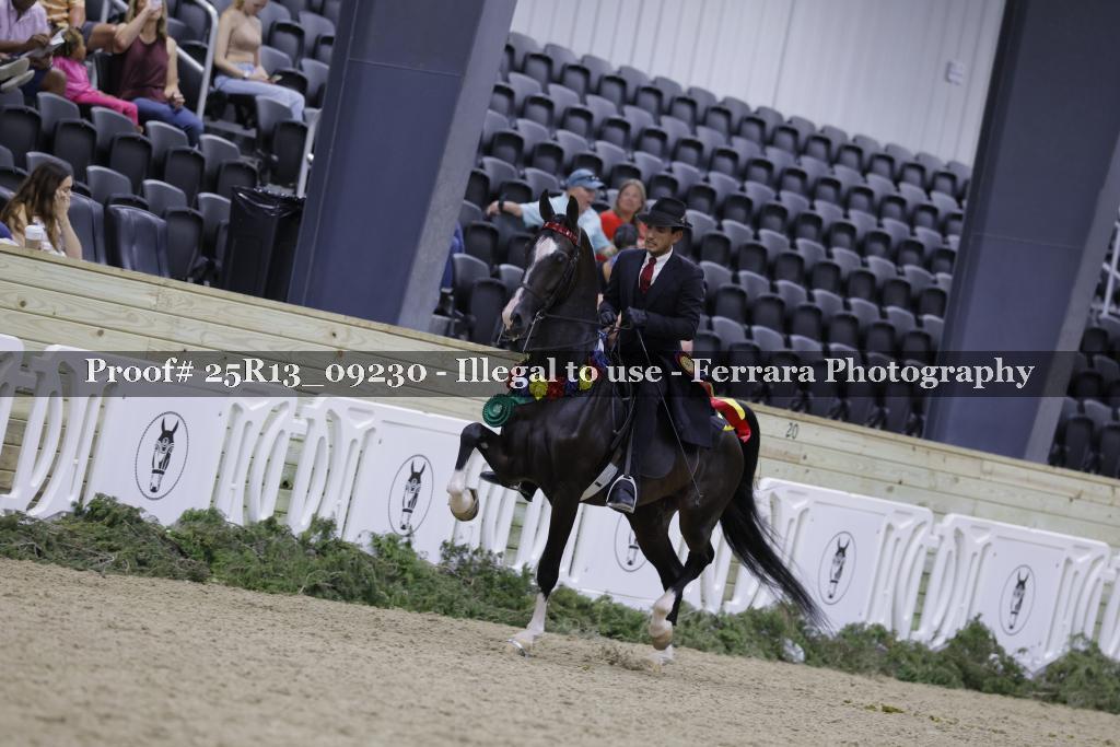 Proof 25R13_09230