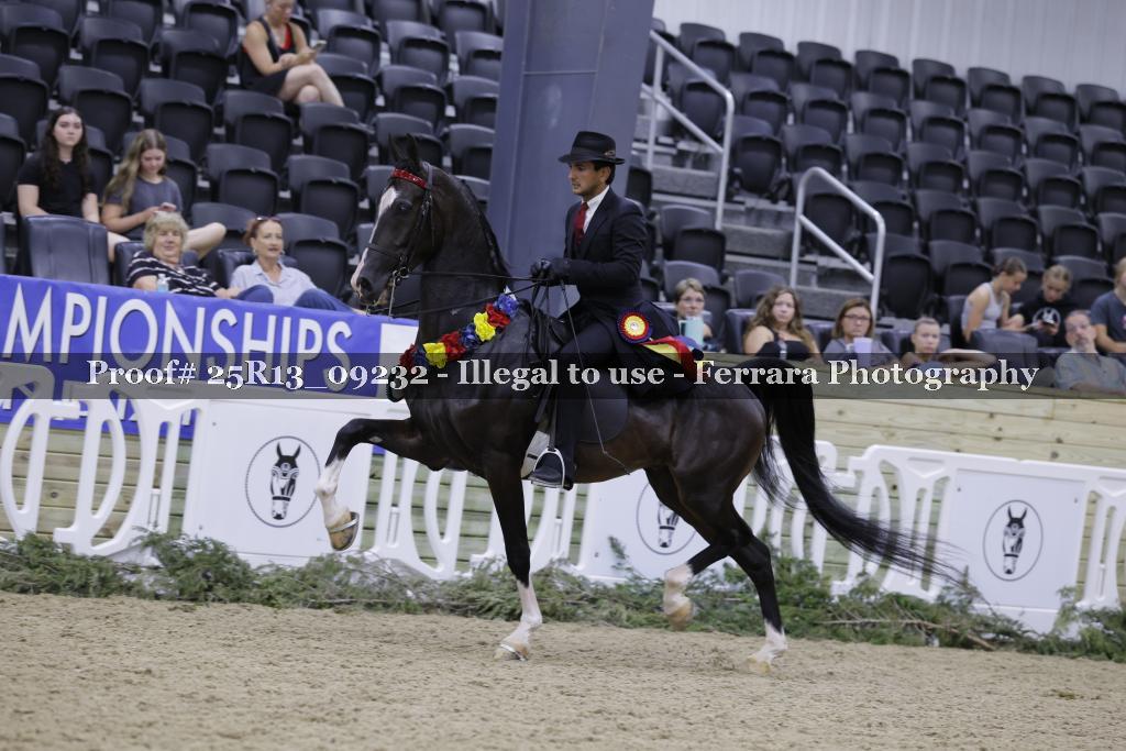 Proof 25R13_09232