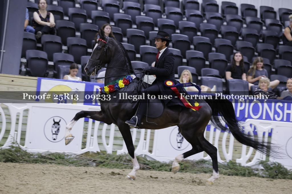 Proof 25R13_09233