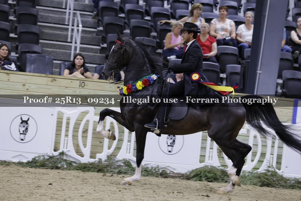 Proof 25R13_09234