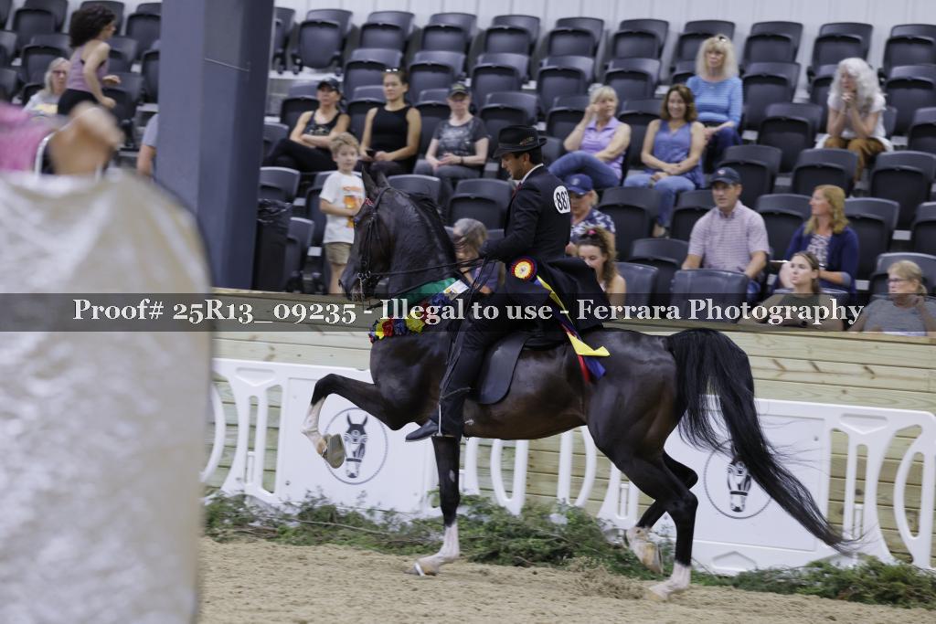 Proof 25R13_09235