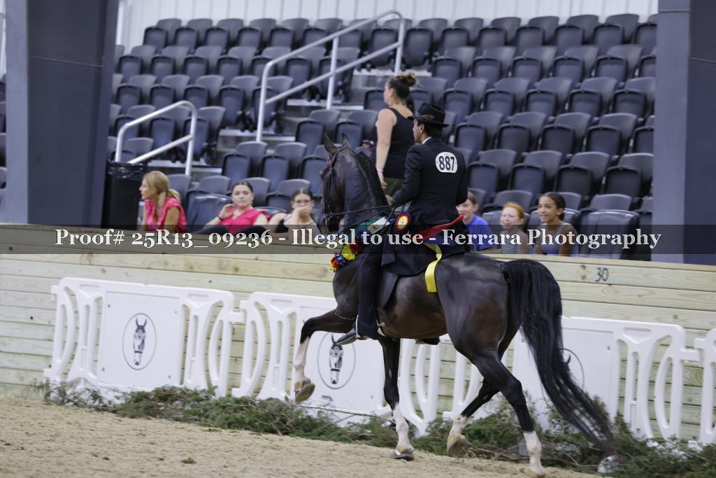 Proof 25R13_09236