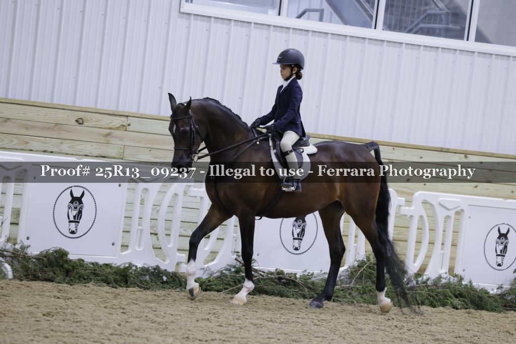 Proof 25R13_09237