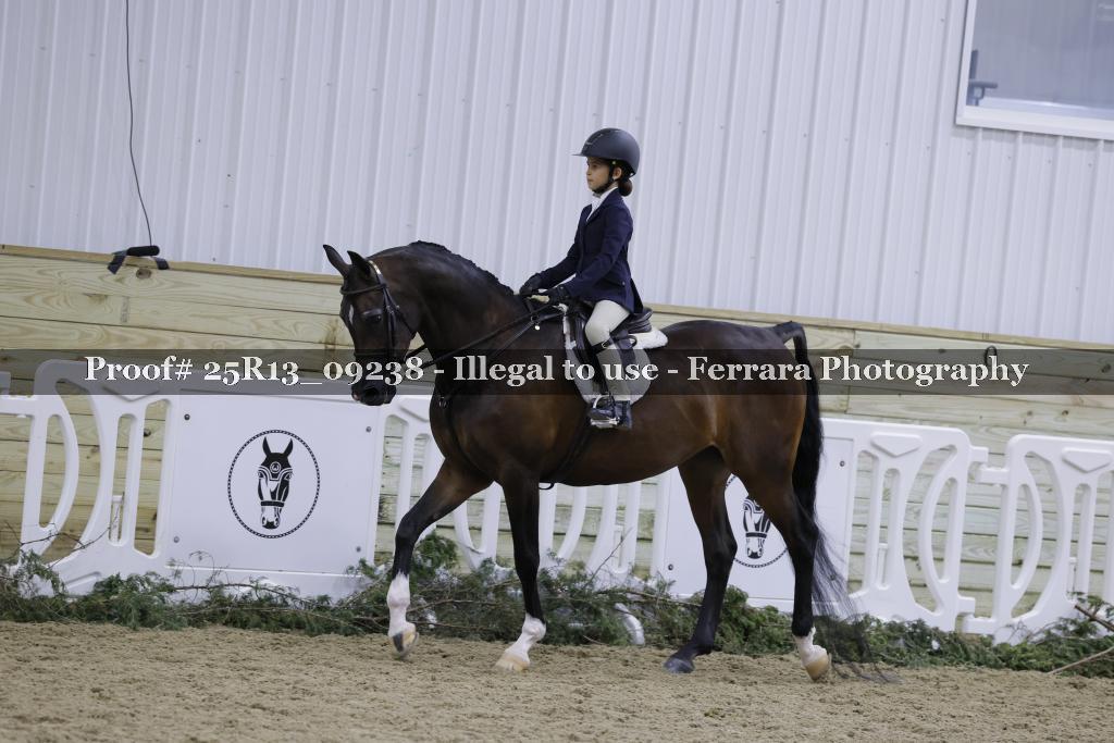 Proof 25R13_09238