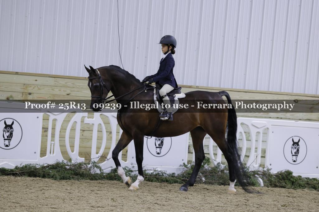 Proof 25R13_09239