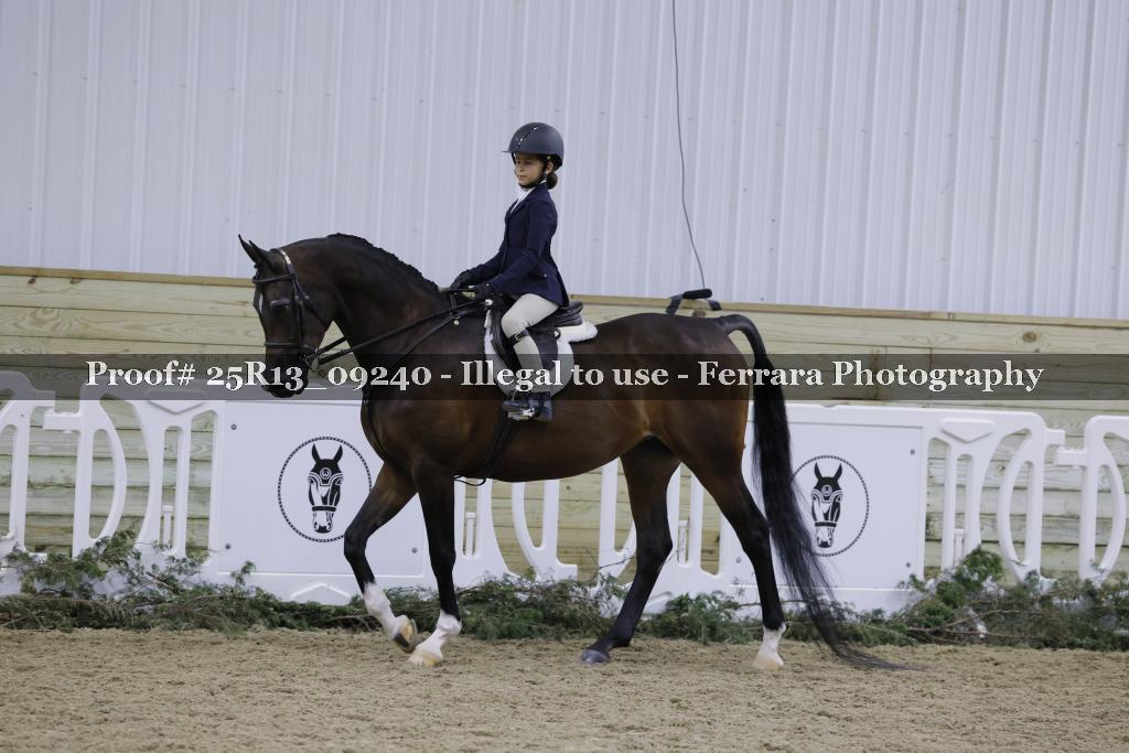 Proof 25R13_09240