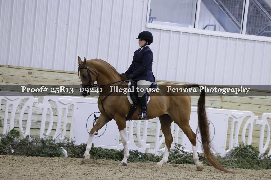 Proof 25R13_09241