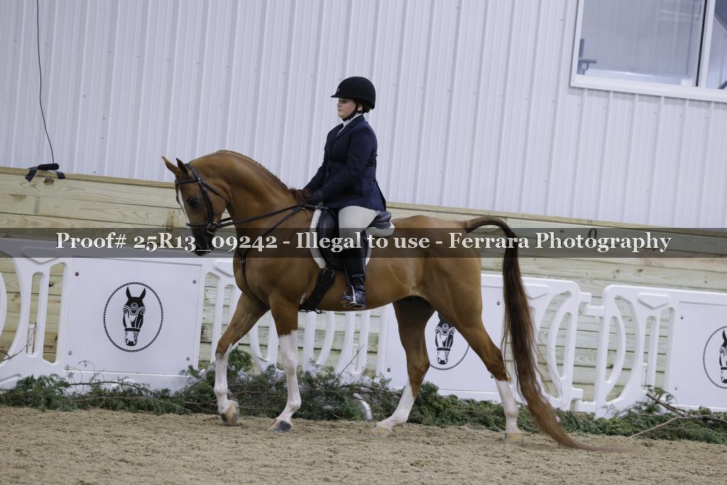 Proof 25R13_09242