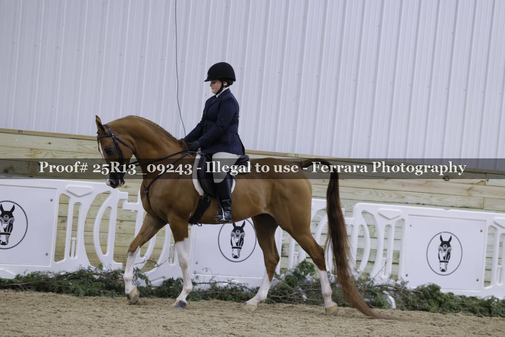 Proof 25R13_09243