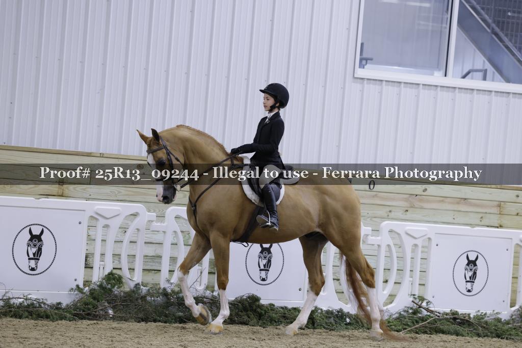 Proof 25R13_09244