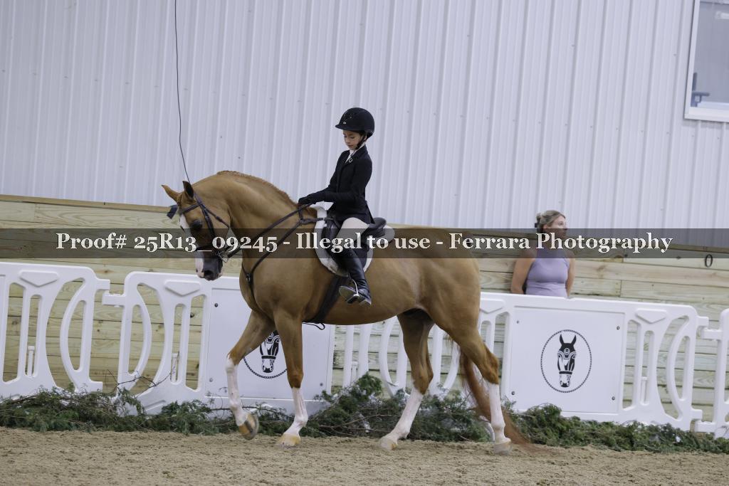 Proof 25R13_09245