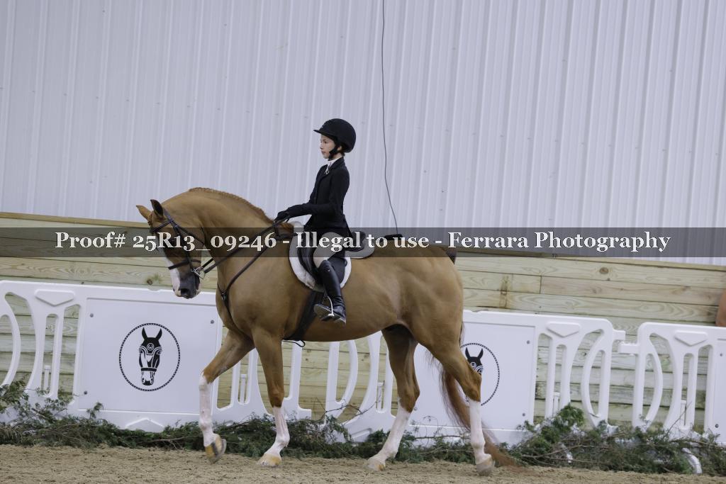 Proof 25R13_09246