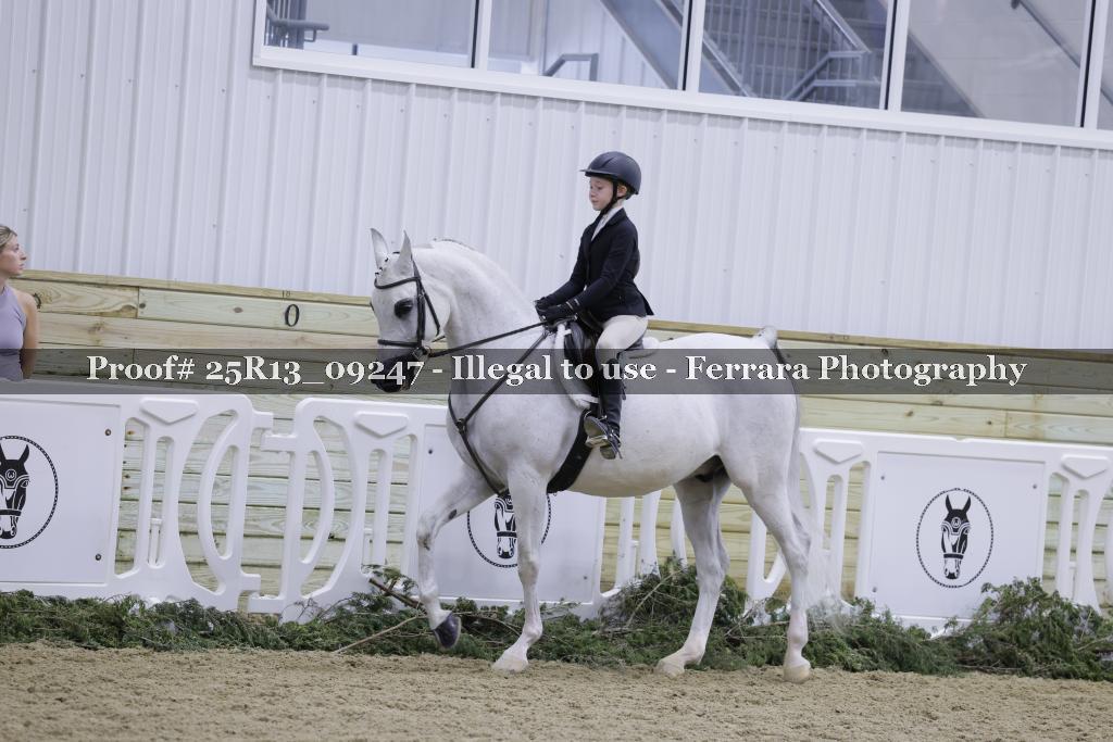Proof 25R13_09247