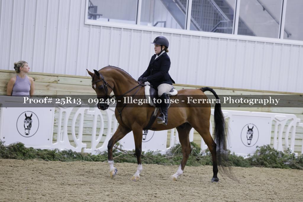 Proof 25R13_09249