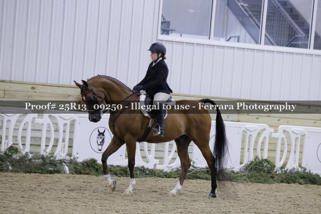 Proof 25R13_09250