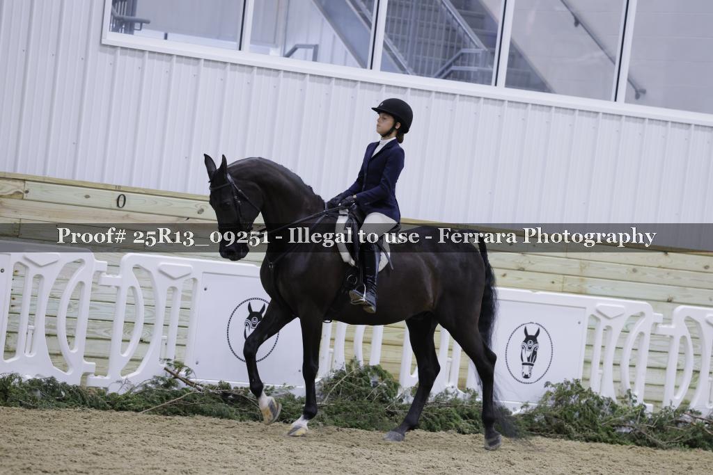 Proof 25R13_09251