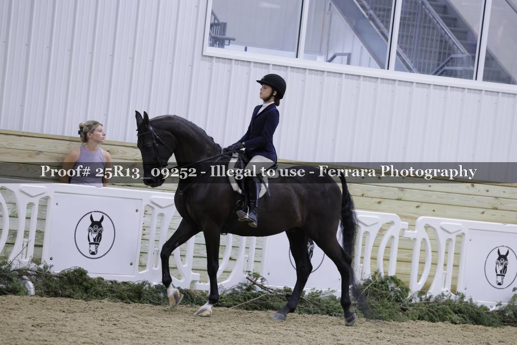 Proof 25R13_09252