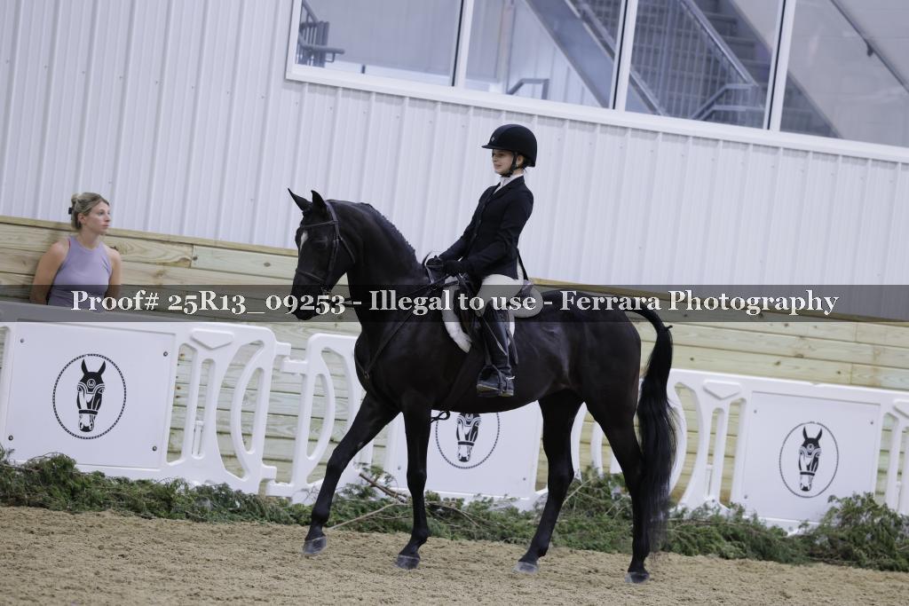 Proof 25R13_09253