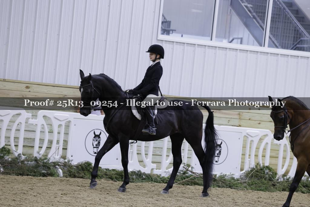 Proof 25R13_09254