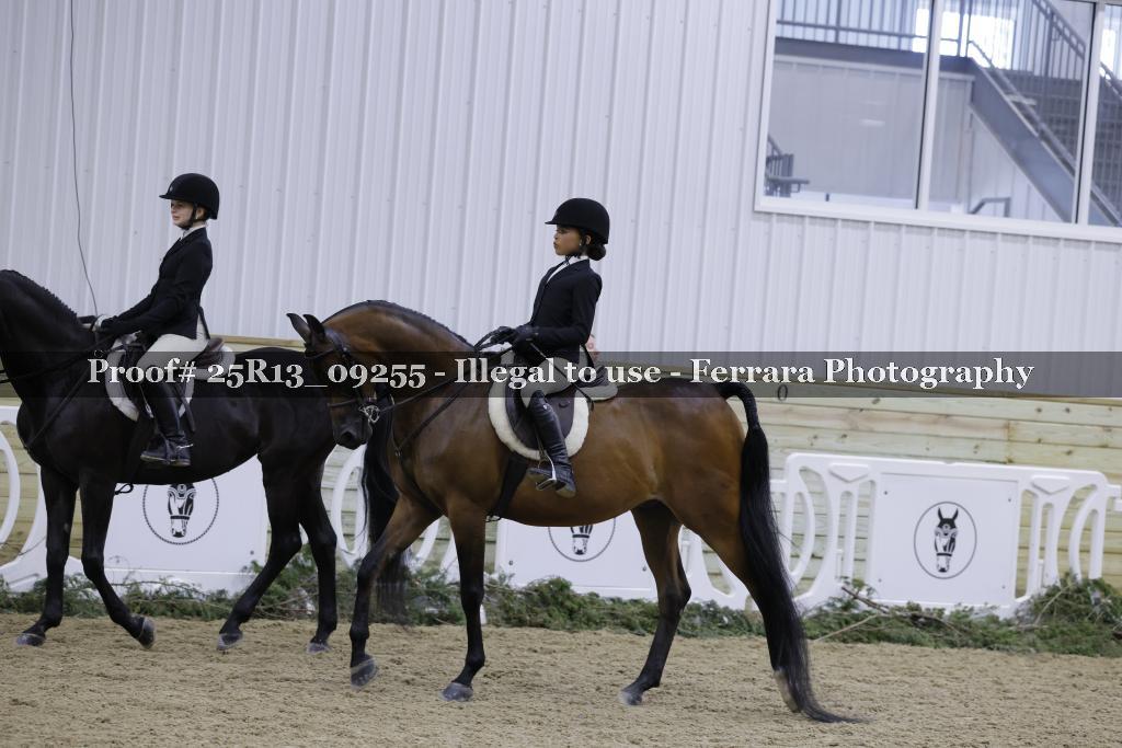 Proof 25R13_09255