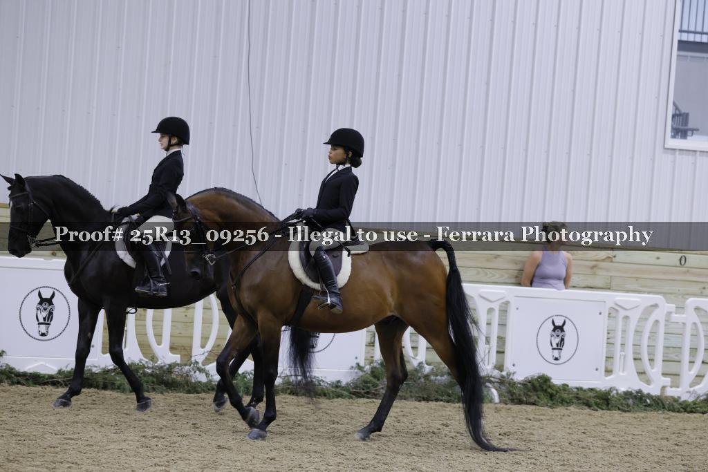 Proof 25R13_09256