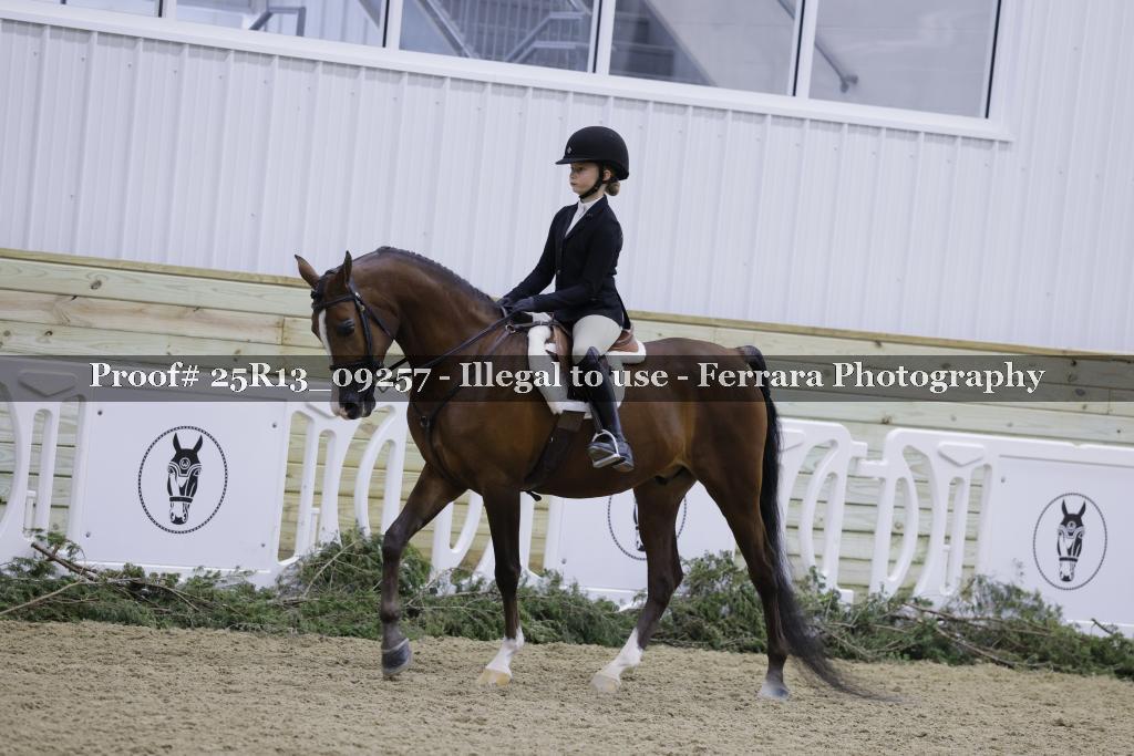 Proof 25R13_09257